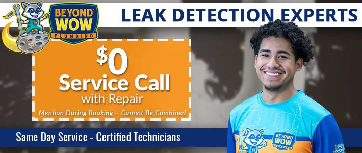 austin Leak Detection Beyond Wow Plumbing