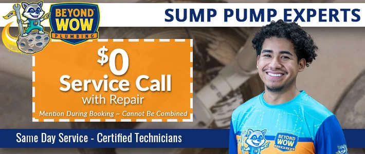 austin Sump Pumps Beyond Wow Plumbing